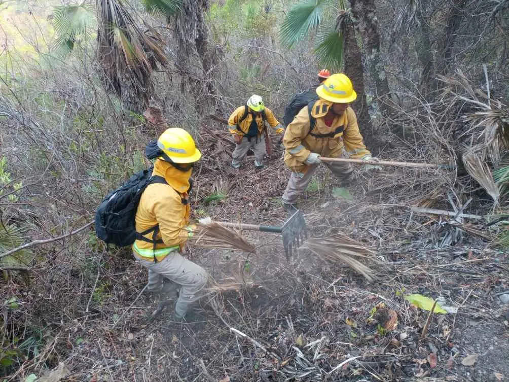 Brigadistas en el Parque El Veladero