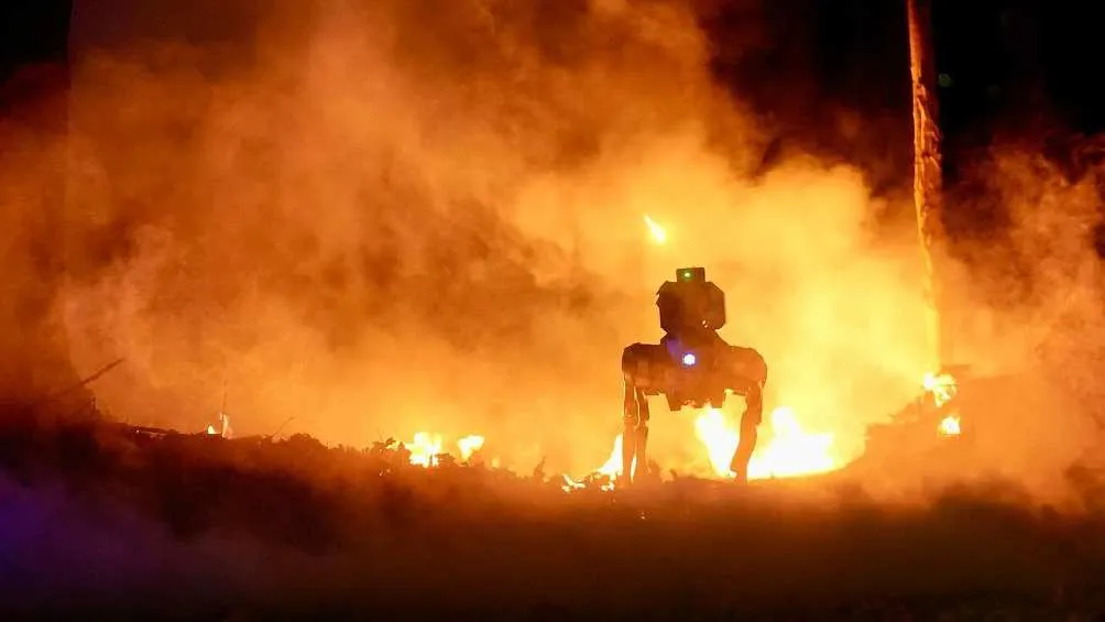 Su costo es de más de 160 mil pesos.