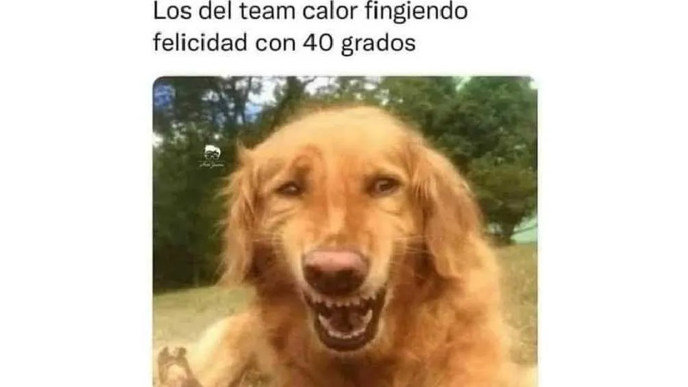 ¿A quién le gusta tanto calor?