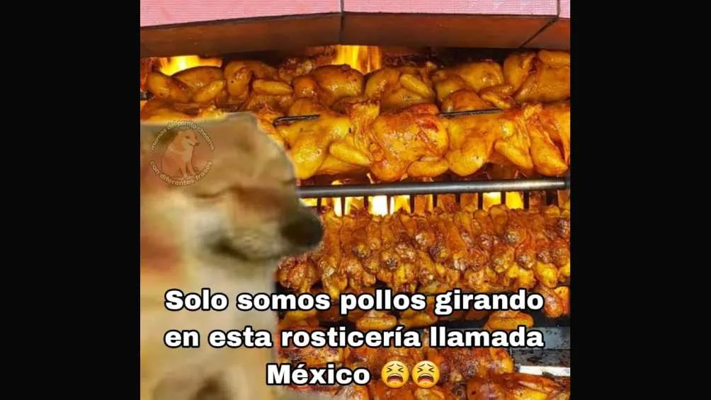 Sí parecemos pollos rostizados en todo el país.