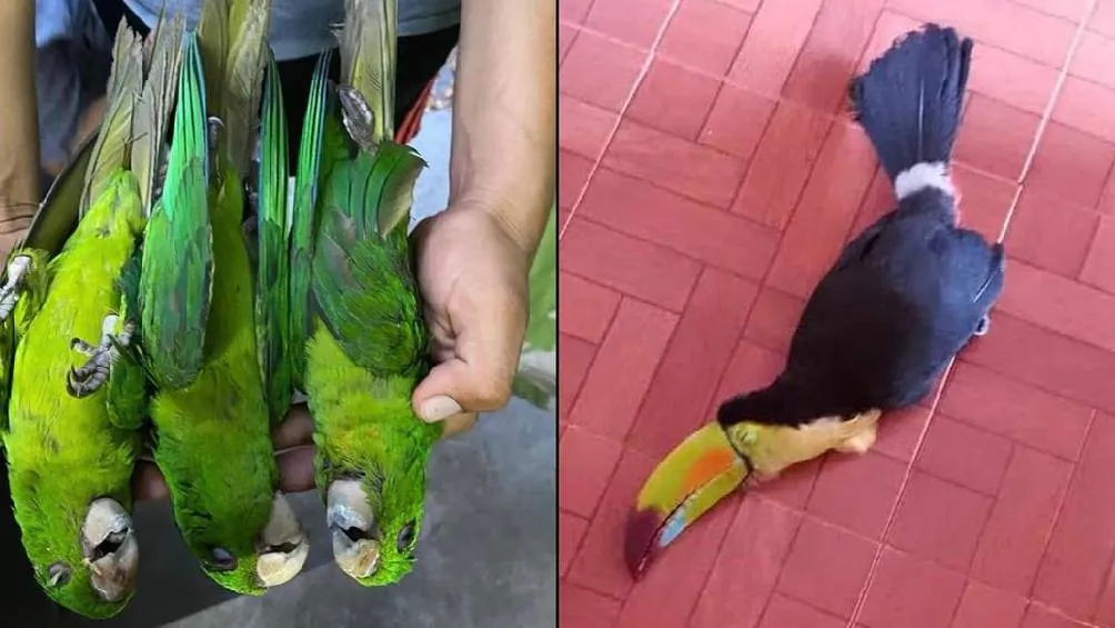 Foto &quot;X&quot; @am_noreste