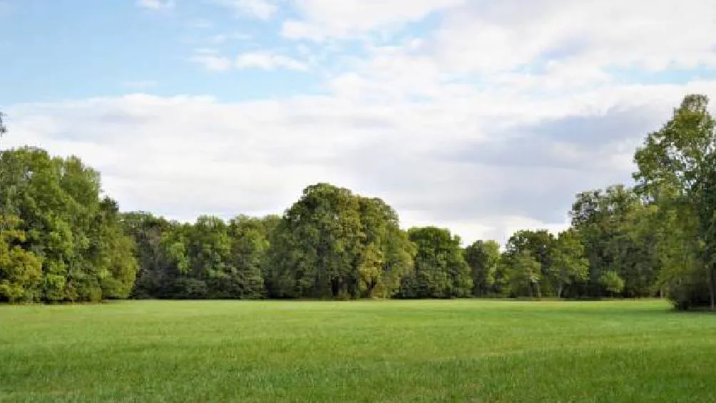 En México este fenómeno ocurre en un primer momento entre la segunda mitad de mayo y la primera de junio de cada año Foto iStock