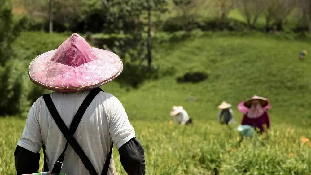 El pago de utilidades es una obligación de empresas, patrones y negocios.