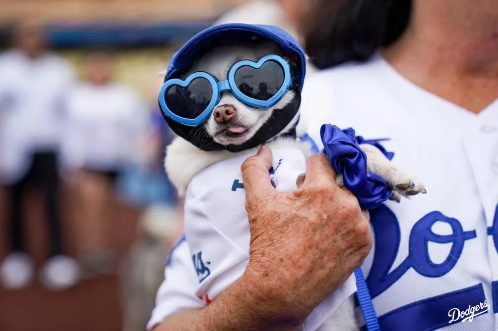 Algunos aficionados vistieron a sus mascotas