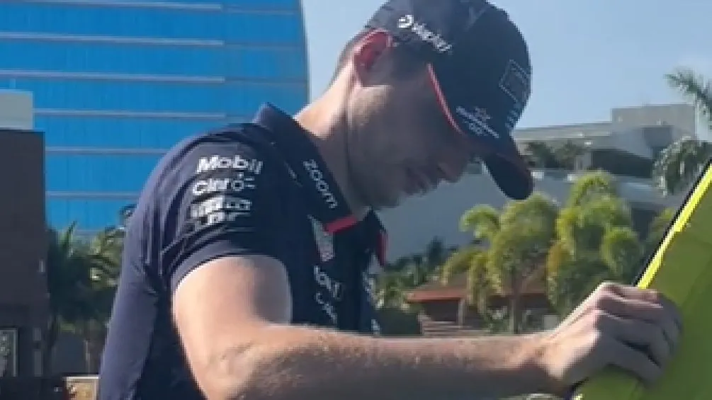 Verstappen en la dinámica