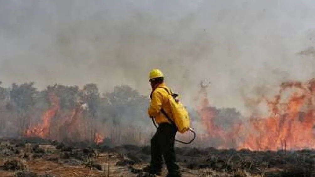 En el estado de Hidalgo se han reportado más de 4 incendios activos Foto Especial