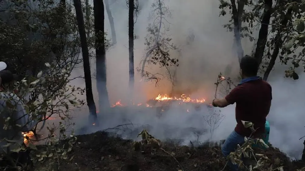 Ante un incendio forestal se recomienda seguir las indicaciones de las autoridades Foto Especial
