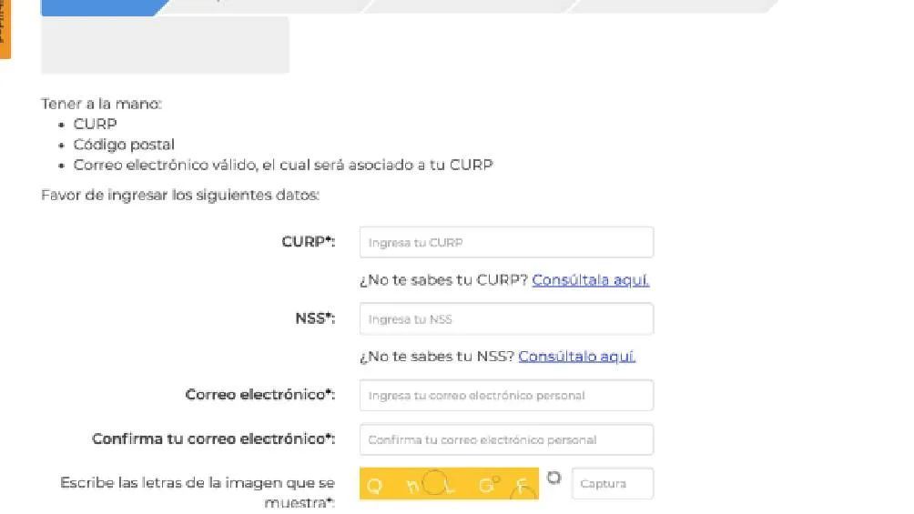Para darse de alta en el IMSS mediante línea se deben seguir unos pasos Foto Captura de pantalla