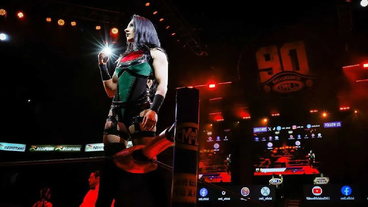 La chilena aseguró que se va del Consejo en los mejores términos.