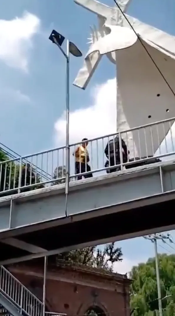 Captura de Pantalla: @MrElDiablo8 La persona fue puesta a salvo y llevaba ante un juez para recibir una sanción.