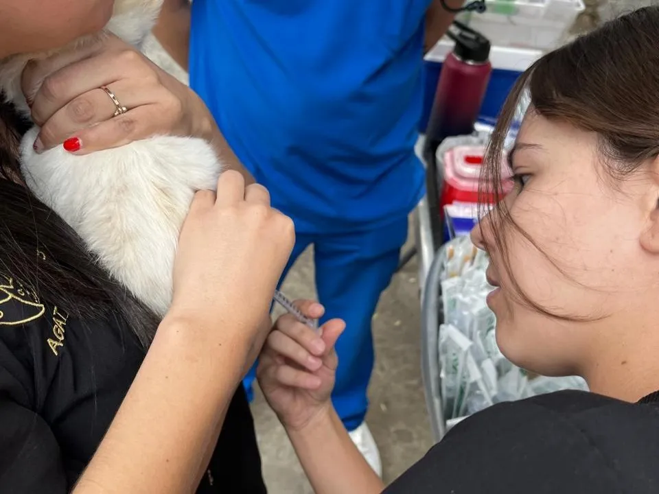 Las vacunas serán completamente gratis.