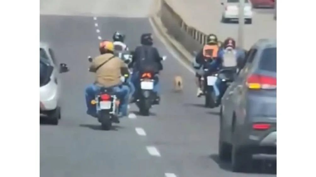 Foto Captura de pantalla