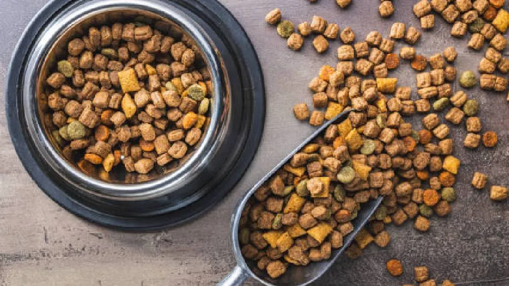 El animal comía de 10 piezas de pollo y galletas para perro. Foto iStock