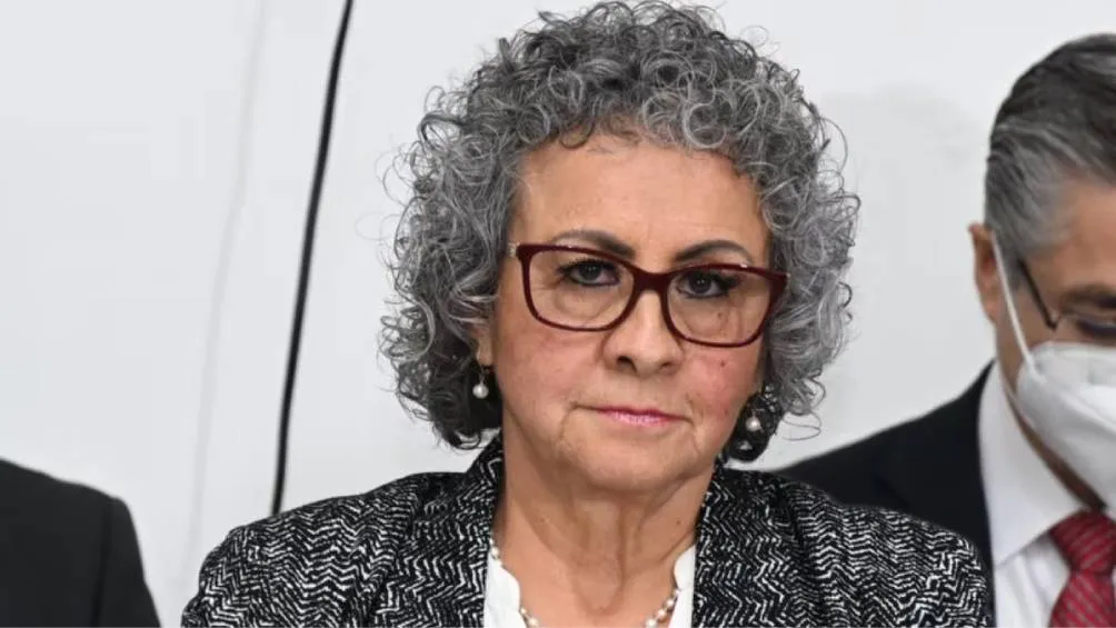 La próxima titular de la Secretaría de Egresos cuenta con más de 25 años de experiencia en la gestión del presupuesto en diferentes niveles de la administración pública.