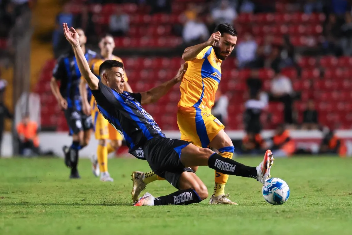 Gallos derrotó a los felinos