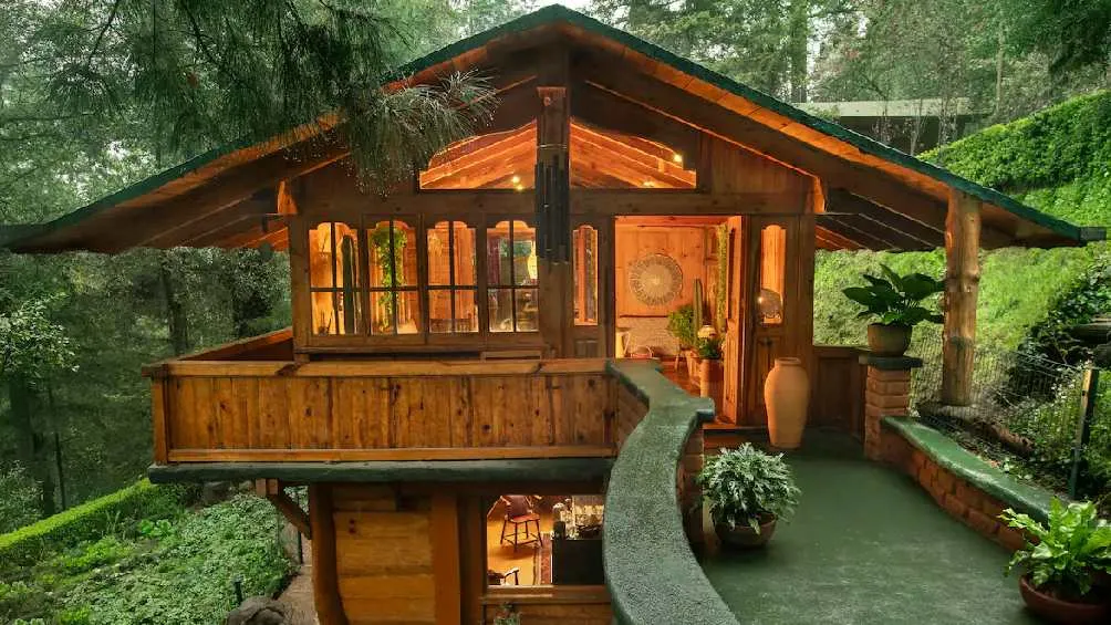 La casa está construida con enormes árboles a su alrededor.