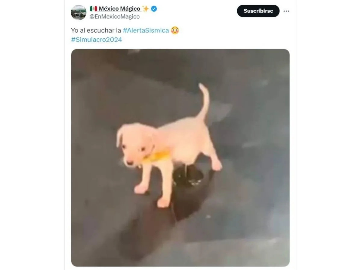 Las redes explotaron de memes.