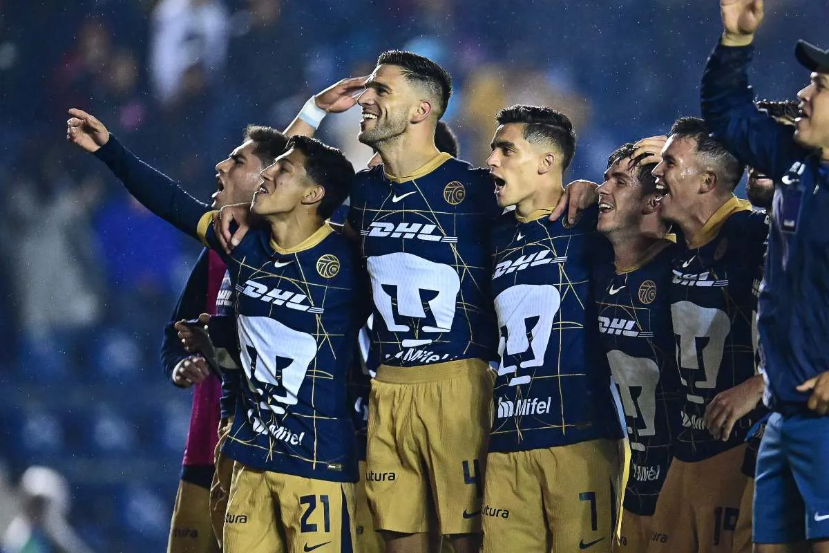 Festejo de los felinos