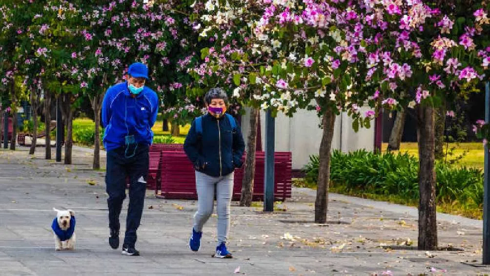 Serán siete las alcaldías en donde el termómetro marcará entre 4 y 6 grados.