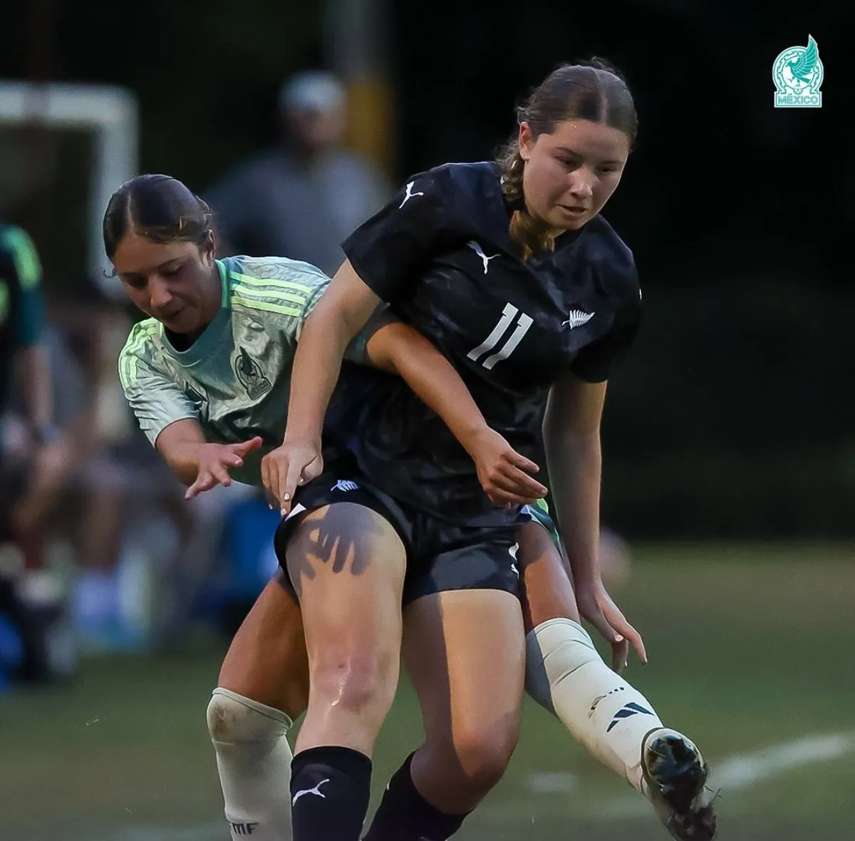 Partido de preparación