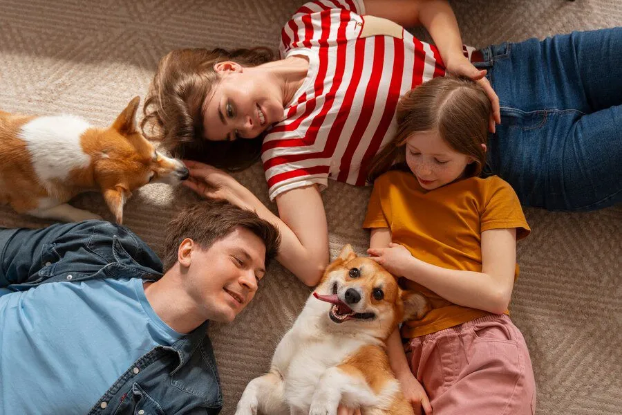 La mascota se podrá ir con quien tiene mayor apego.