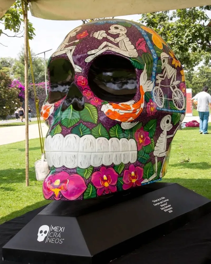 FB: @mexicraneos Los cráneos están expuestos de martes a domingos.