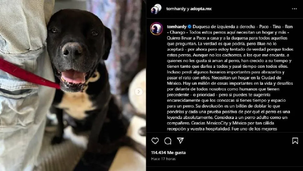 El actor solicitó ayuda a la fundación adopta.mx a través de un mensaje en sus redes sociales.