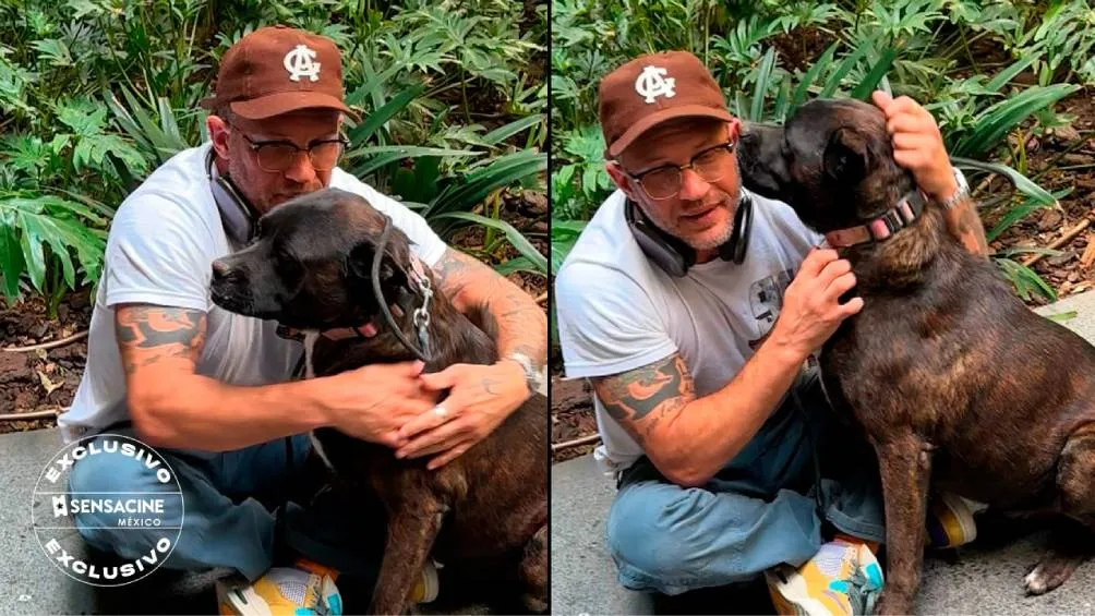 Tom Hardy destacó la importancia de adoptar y encontrar un buen hogar para los perritos.