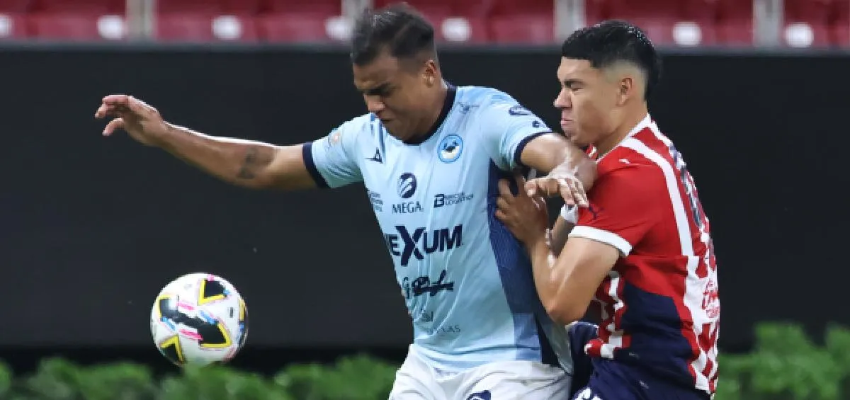 IMAGO7 Mozumbito a la congeladora