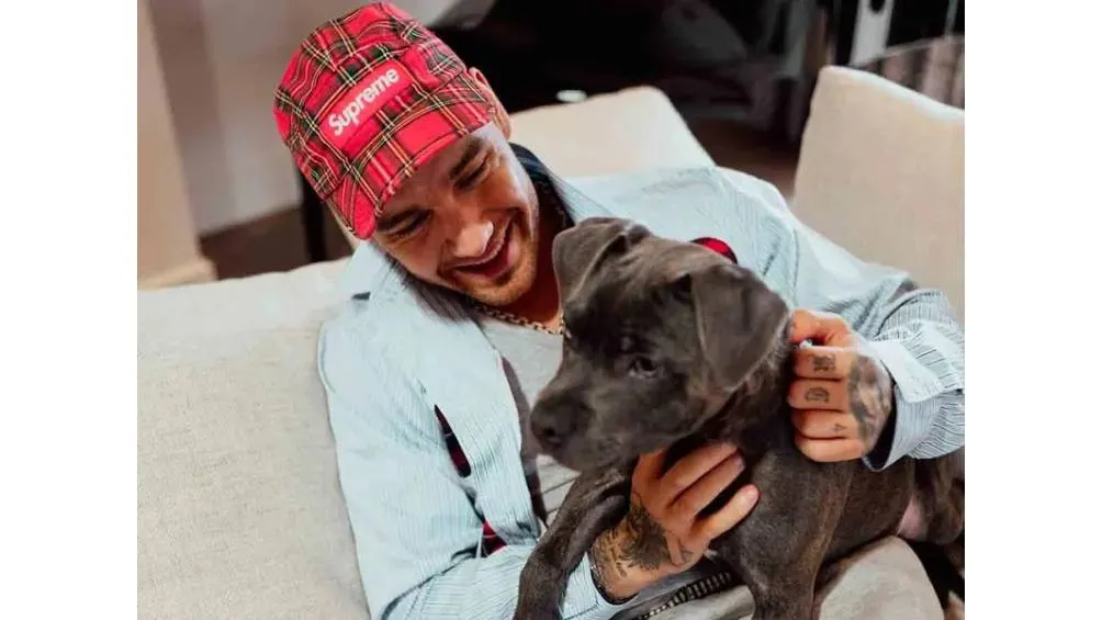 La muerte de Liam conmocionó a todos sus fans.