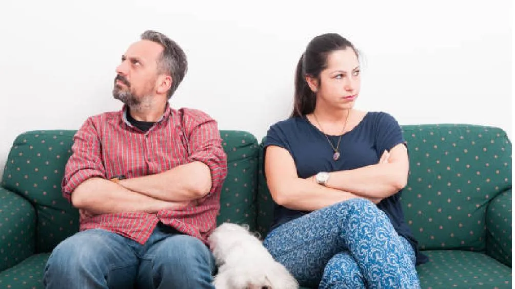 La ley de custodia de mascotas durante el divorcio reconoce la importancia de las mascotas.