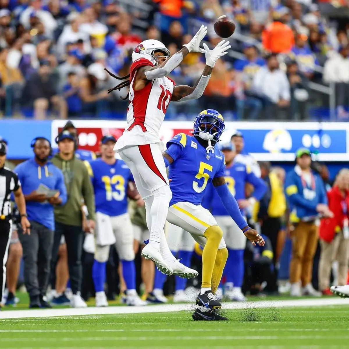 Hopkins también jugó con Arizona