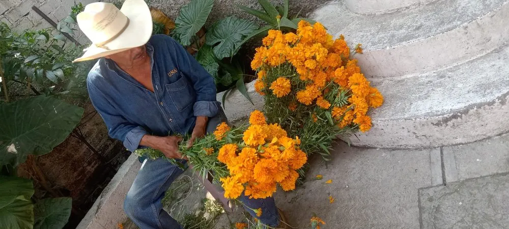 Los productores generan toneladas de flores para su venta.