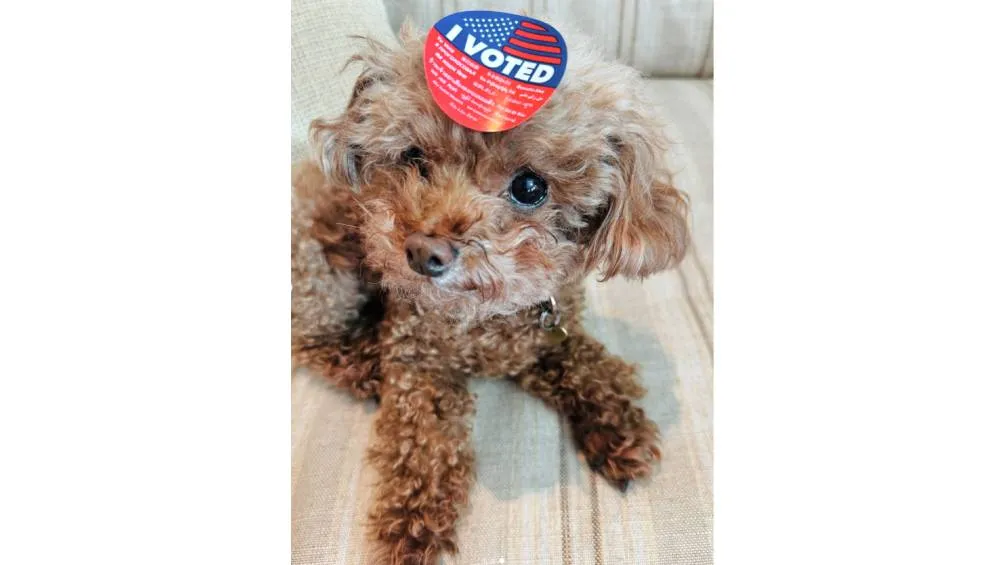 Katty compartió en redes que ya había votado anticipadamente.