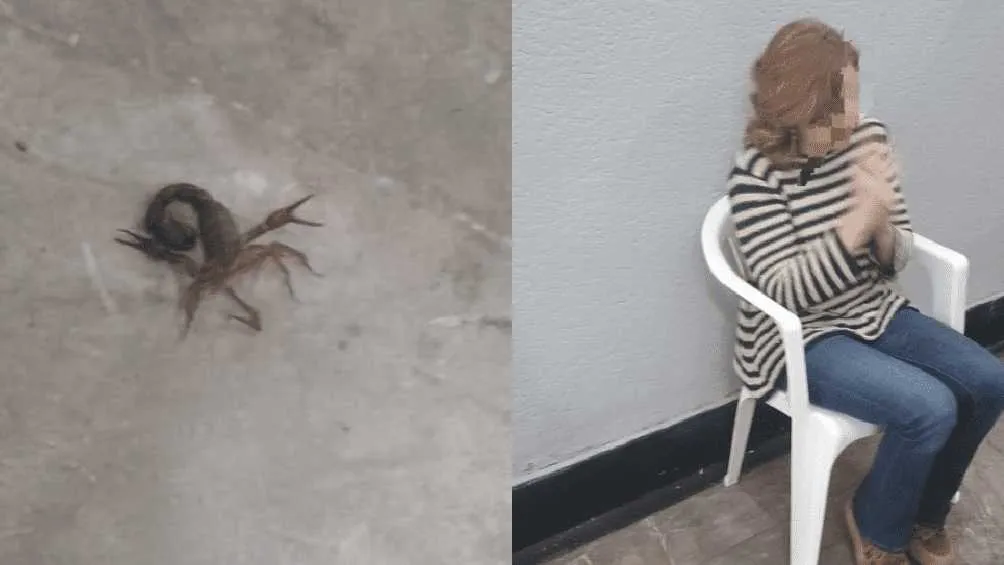 Twitter: @PacoZeaCom La mujer afectada recibió los primeros auxilios y se descartó que corriera peligro.