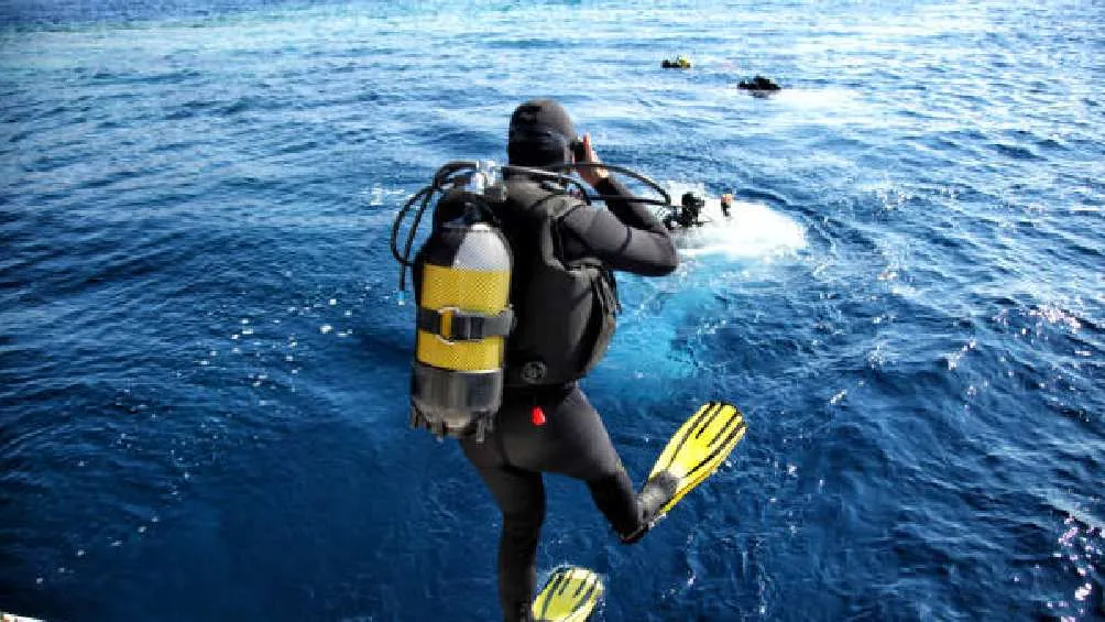 Pixabay Este trágico accidente sucedió en 2013, mientras Alejandro trabajaba buceando.