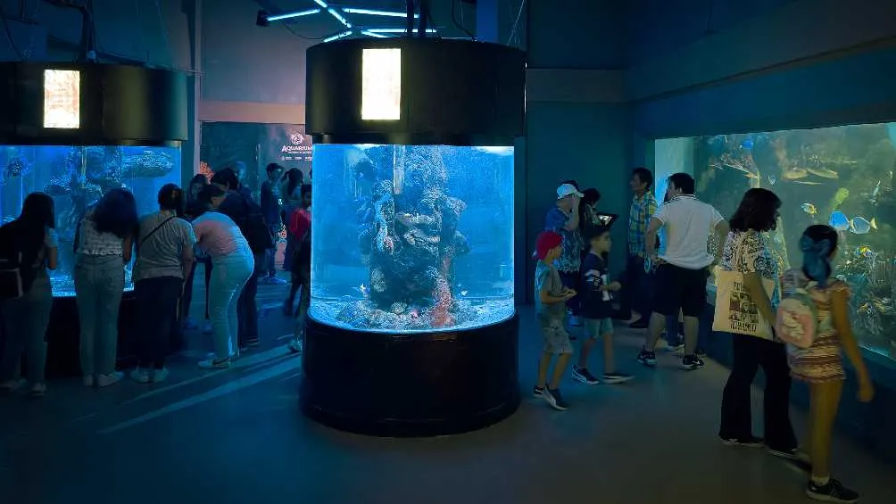 Twitter: @Planoinforma Para esta remodelación se invirtieron más de 450 millones de pesos.