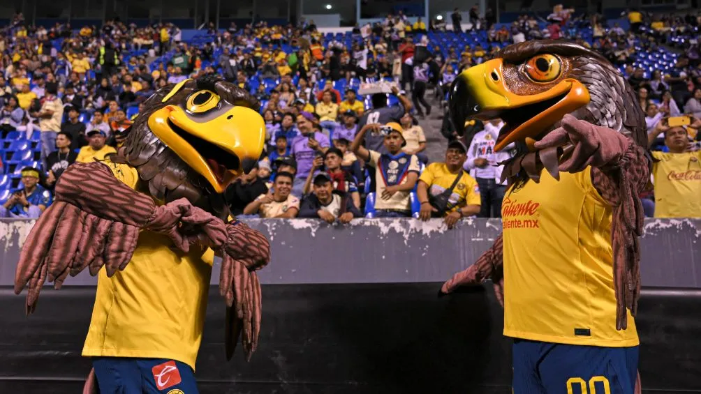 IMAGO7 Ganan premio del 'Equipo del Año'