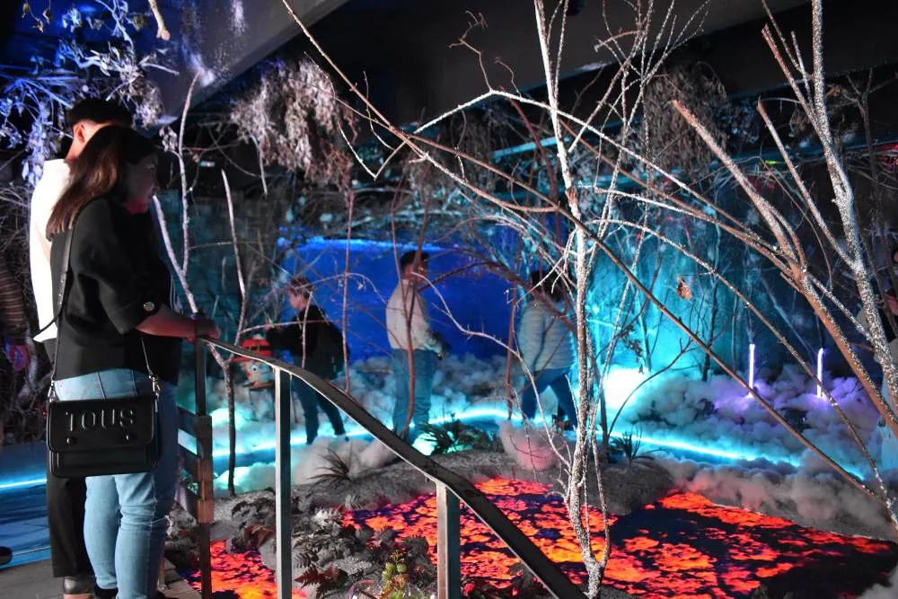 Por el recorrido, los visitantes se podrán tomar fotos y videos.