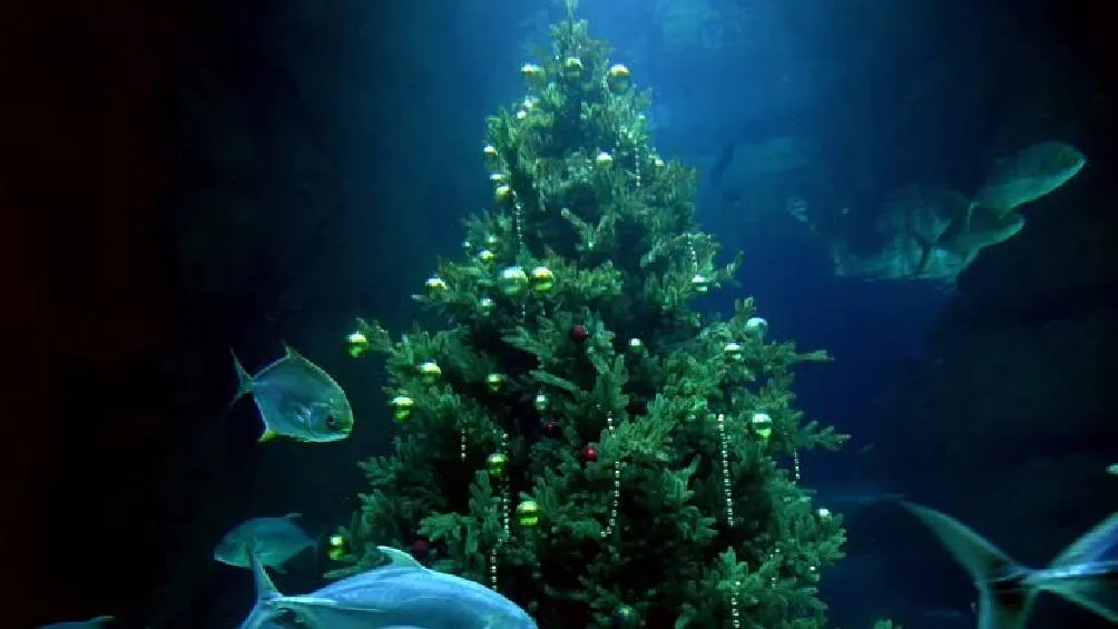 El Acuario Inbursa se complace en presentar &quot;Cuento de Navidad bajo el mar&quot;.