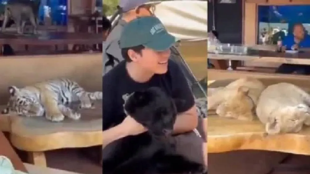 Usuarios en redes han denunciado el presunto &quot;maltrato animal&quot; por parte de la reserva.