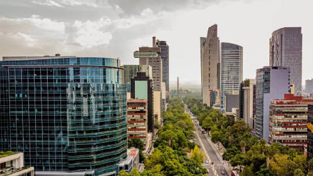 Las festividades de Navidad y Año Nuevo son producto de acciones humanas.