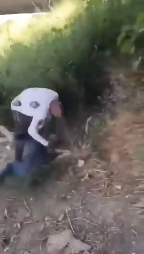 Los jóvenes fueron obligados a pelear entre ellos.