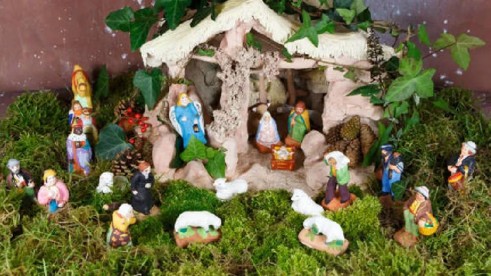 Pixabay El musgo y el heno son recursos forestales no maderables que aportan al desarrollo ambiental.