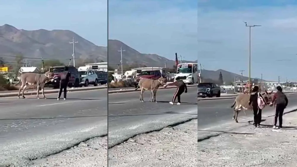 Captura de pantalla. El video se volvió viral en redes por el gran gesto de las jóvenes.