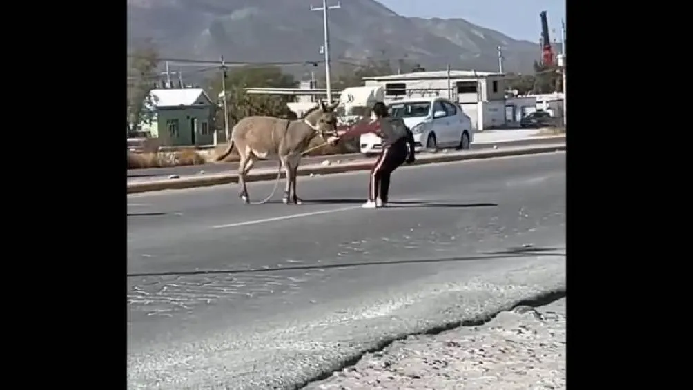 Captura de pantalla. Los hechos ocurrieron en el estado de Coahuila.