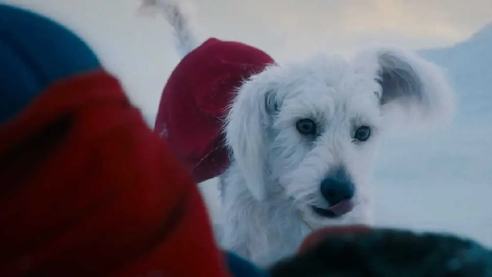 Twitter: @wbpictures También aparecerá en esta película Krypto, el perro de Superman.