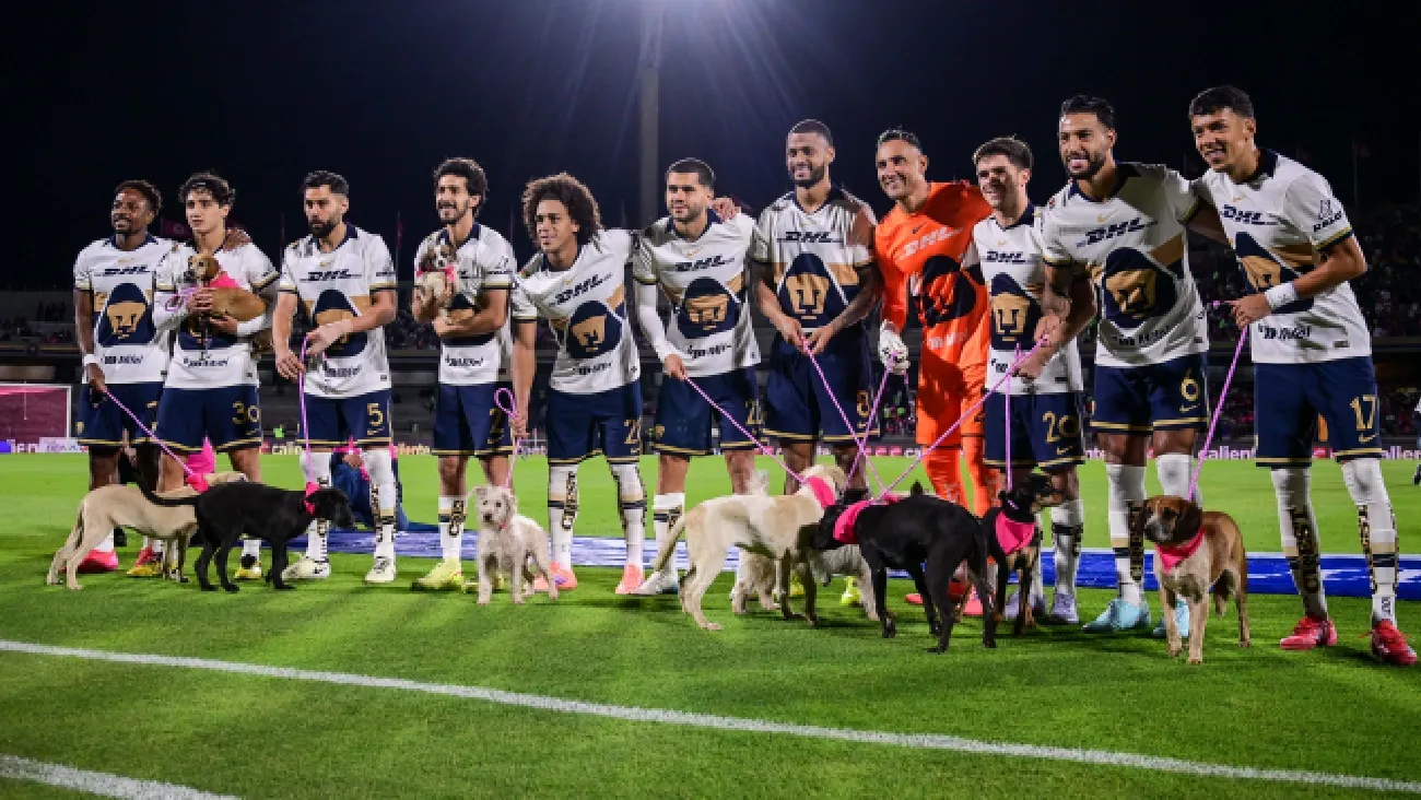 Futbol de Estufa: Altas, bajas y rumores de Pumas para el Clausura 2026