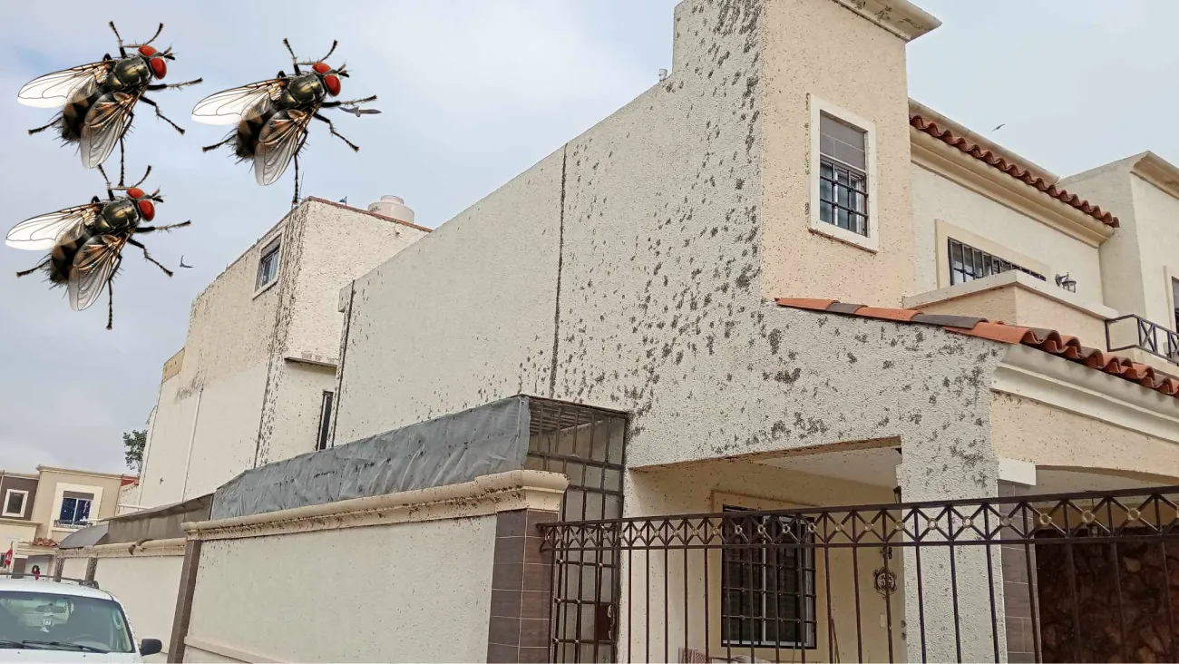 Familias en el fraccionamiento Florencia ya no saben qué hacer y temen por su salud.