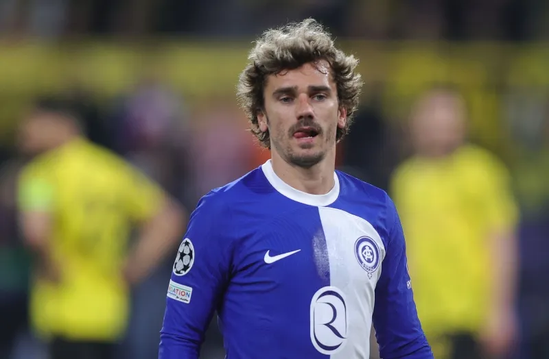 Ya habían buscado al francés